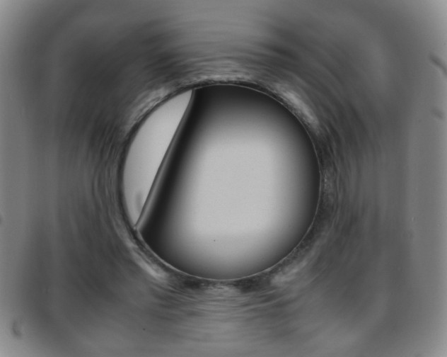 X0000097820397200803140810
