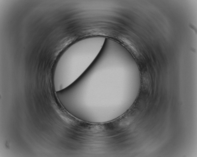 X0000097820398200803140810