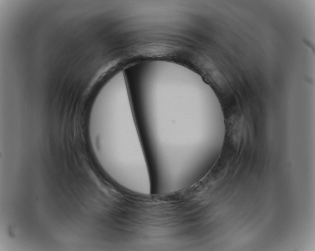 X0000097820400200803140810