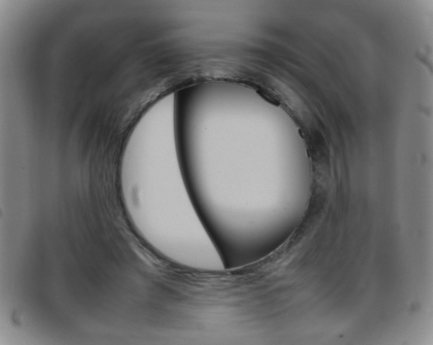 X0000097820401200803140810