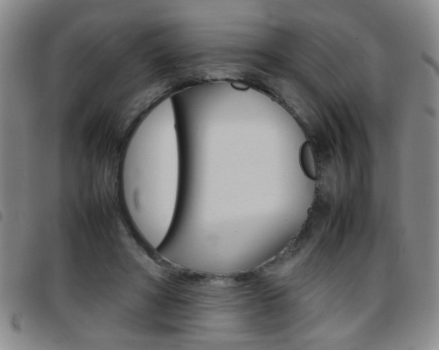 X0000097820402200803140810