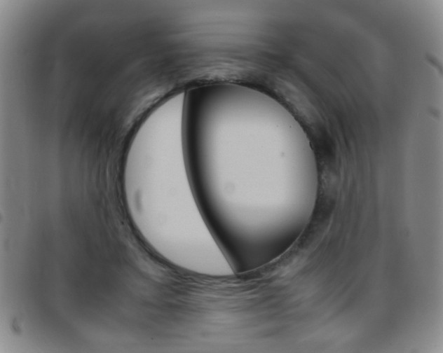 X0000097820403200803140810