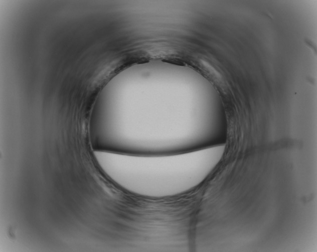 X0000097820405200803140810