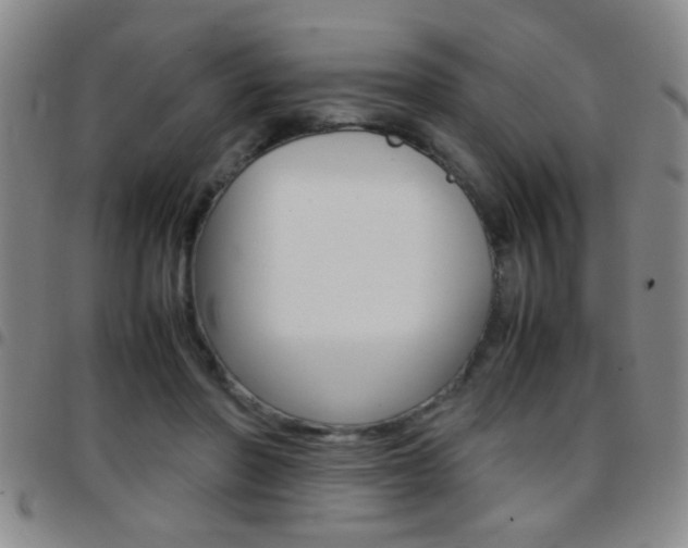 X0000097820406200803140810
