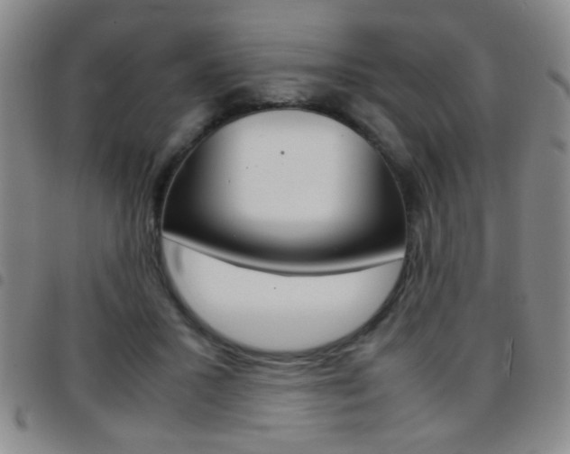 X0000097820407200803140810