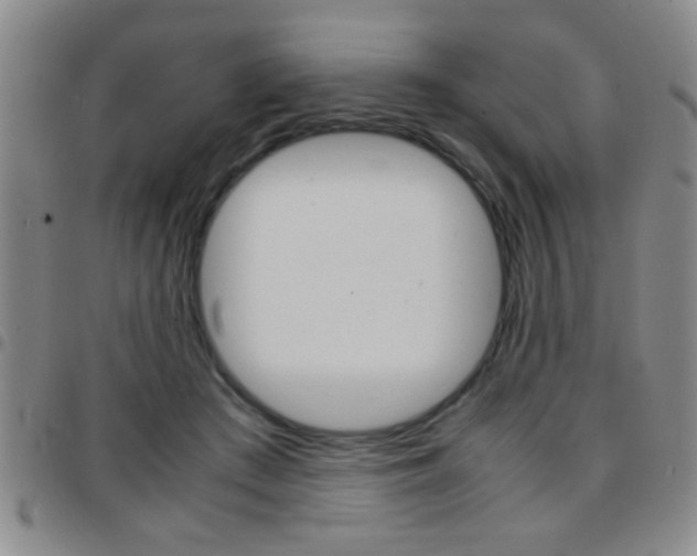 X0000097820409200803140810
