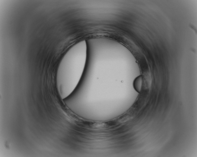 X0000097820410200803140810