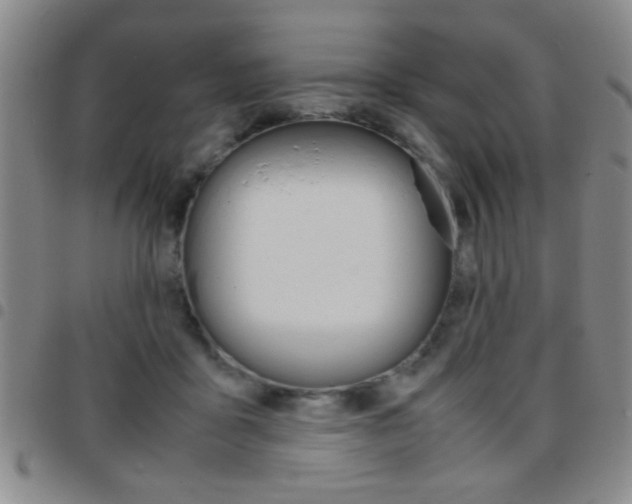 X0000097820411200803140810