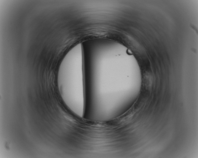 X0000097820412200803140810