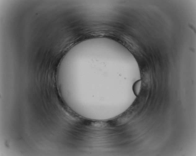 X0000097820414200803140810