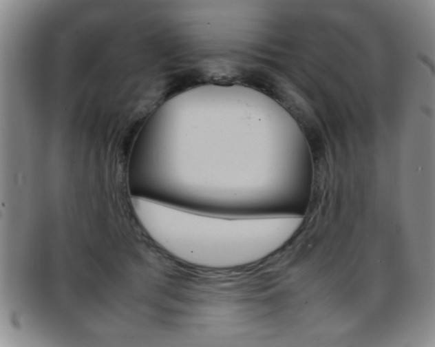 X0000097820417200803140810