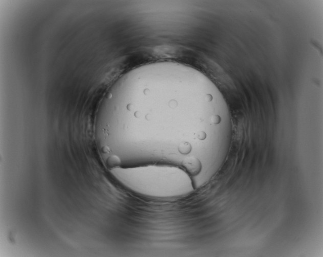 X0000097820418200803140810