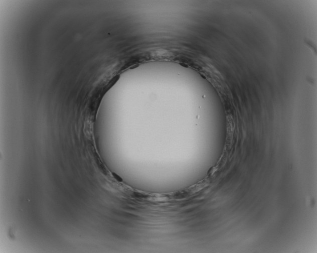 X0000097820419200803140810