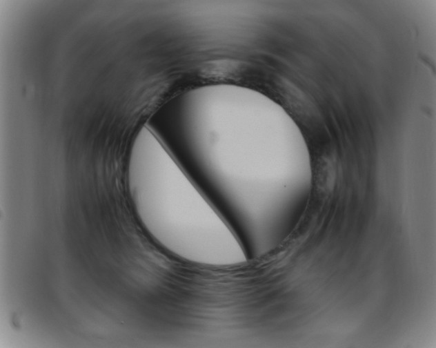 X0000097820420200803140810