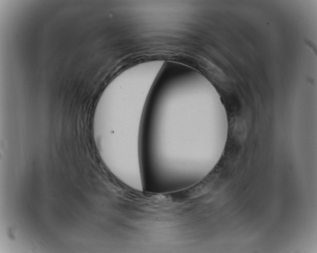 X0000097820421200803140810