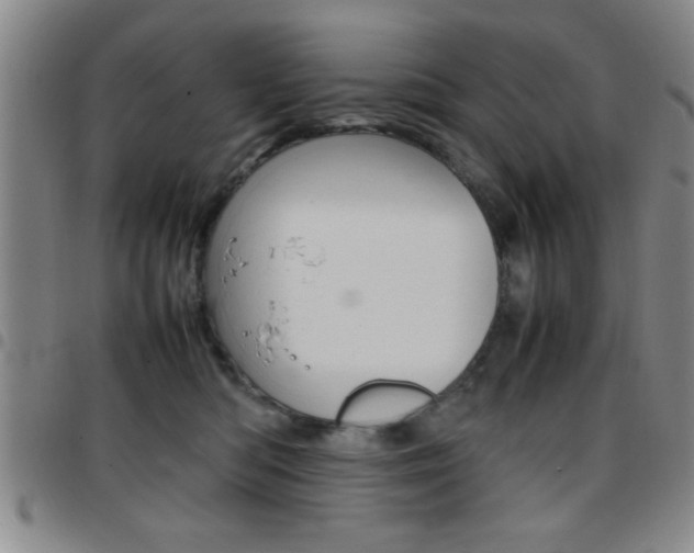 X0000097820422200803140810