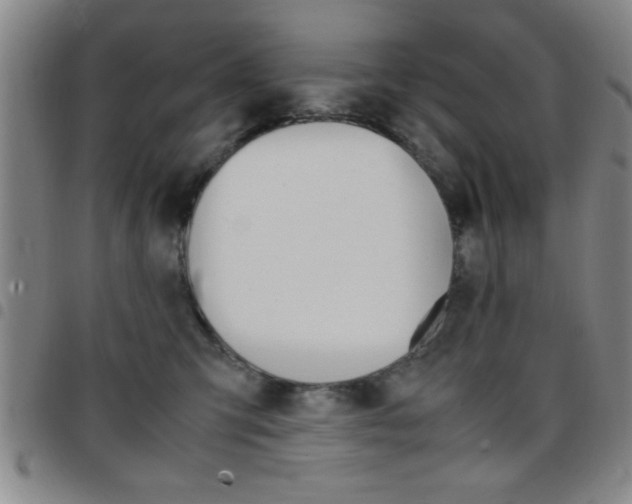 X0000097820423200803140810