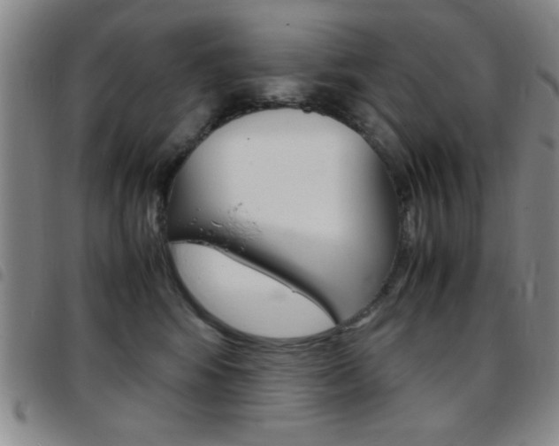 X0000097820424200803140810
