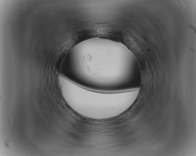 X0000097820425200803140810
