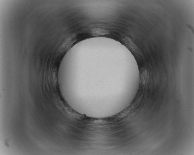 X0000097820426200803140810
