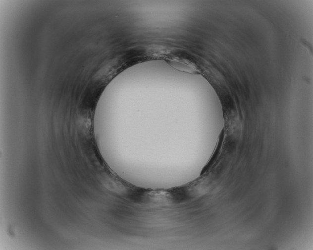 X0000097820427200803140810