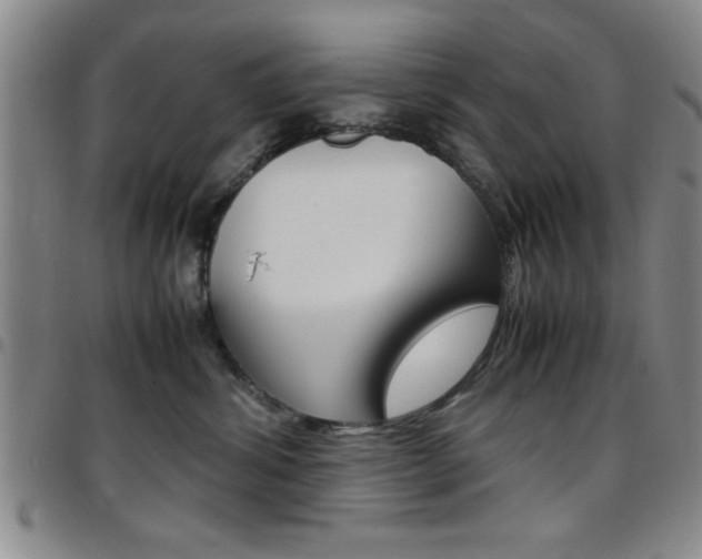 X0000097820428200803140810