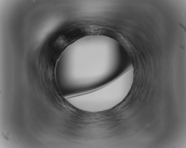 X0000097820429200803140810