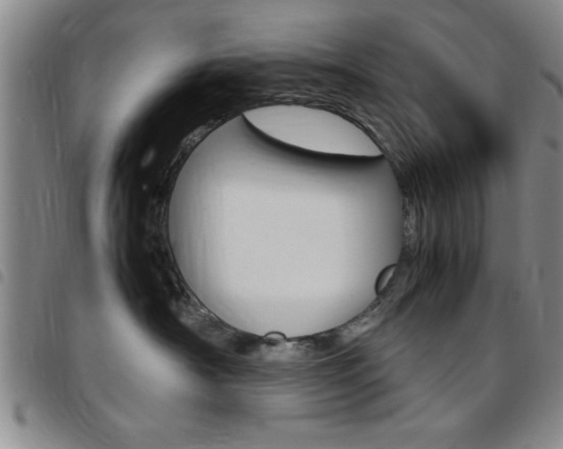 X0000097820430200803140810