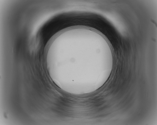 X0000097820431200803140810