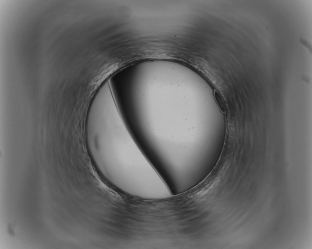 X0000097820433200803140809