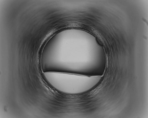 X0000097820435200803140809
