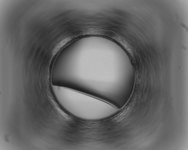 X0000097820437200803140809