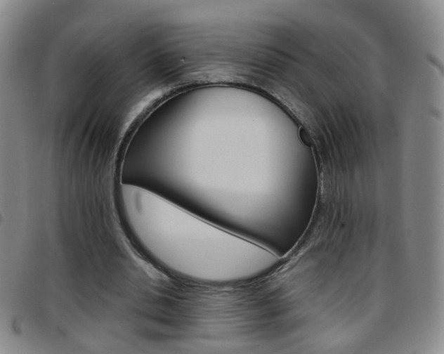 X0000097820438200803140809