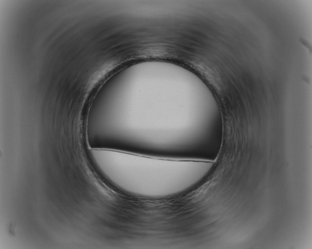 X0000097820439200803140809