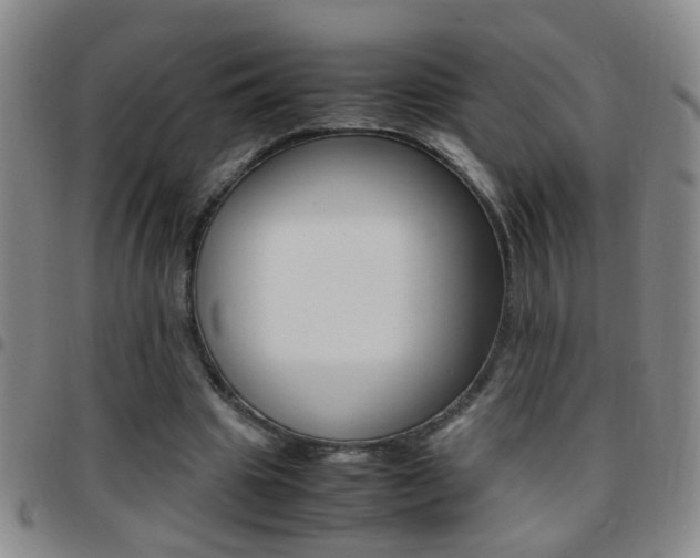 X0000097820441200803140809