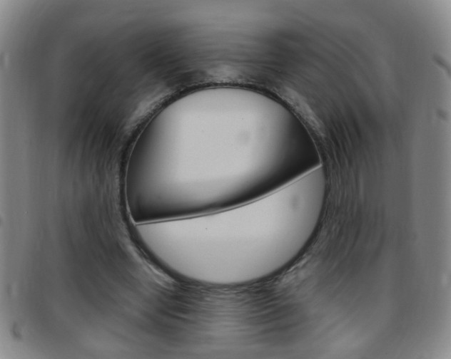 X0000097820442200803140809