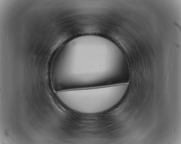 X0000097820443200803140809