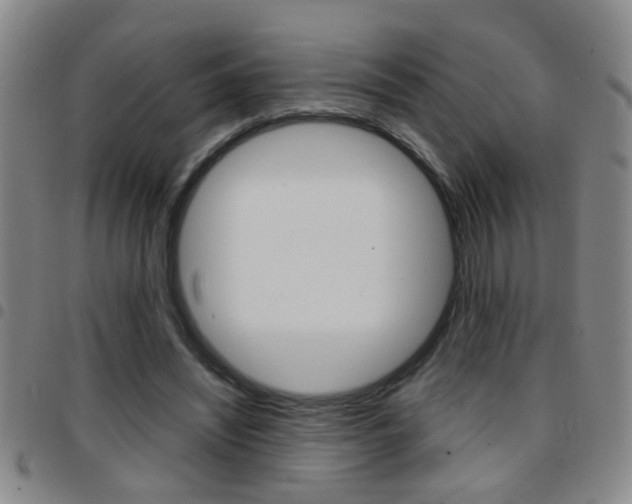 X0000097820444200803140809