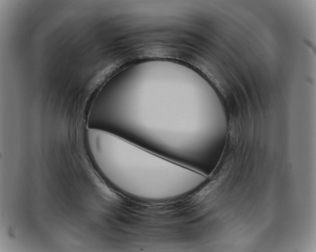 X0000097820445200803140809