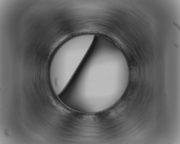 X0000097820446200803140809