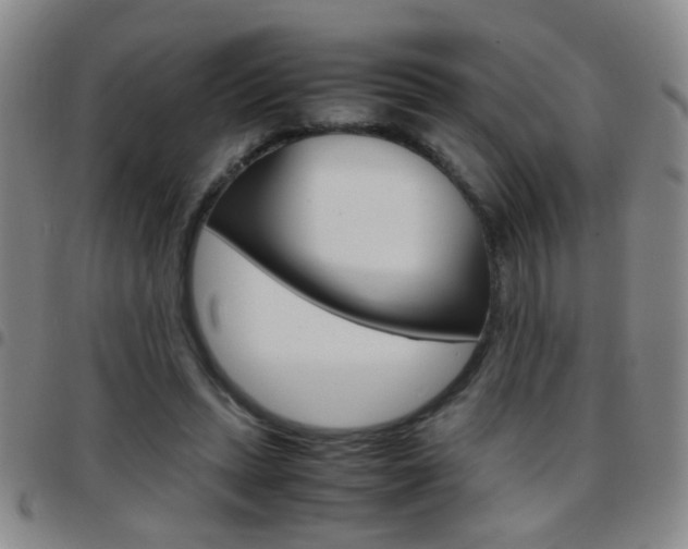 X0000097820447200803140809