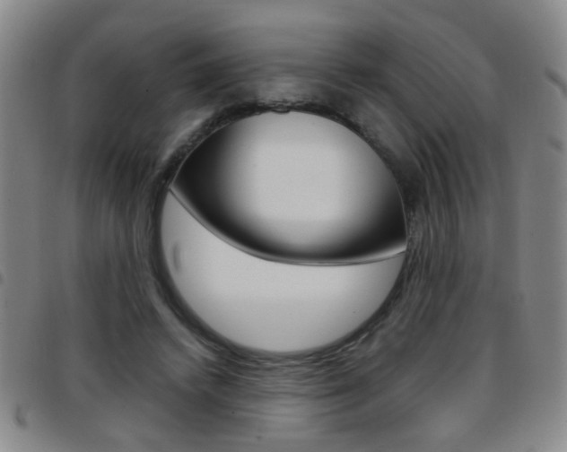 X0000097820448200803140809
