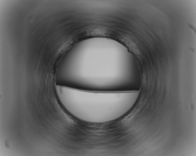 X0000097820449200803140809