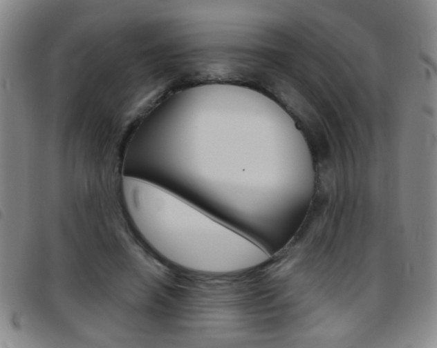 X0000097820450200803140809