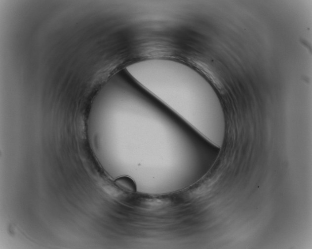 X0000097820453200803140809