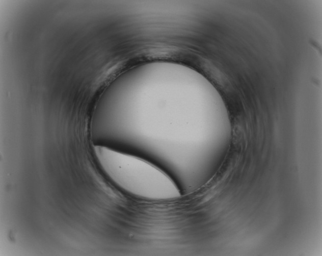 X0000097820454200803140809