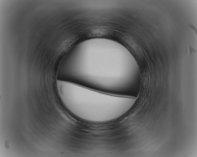 X0000097820455200803140809