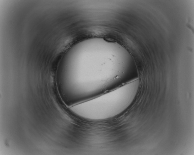 X0000097820456200803140809