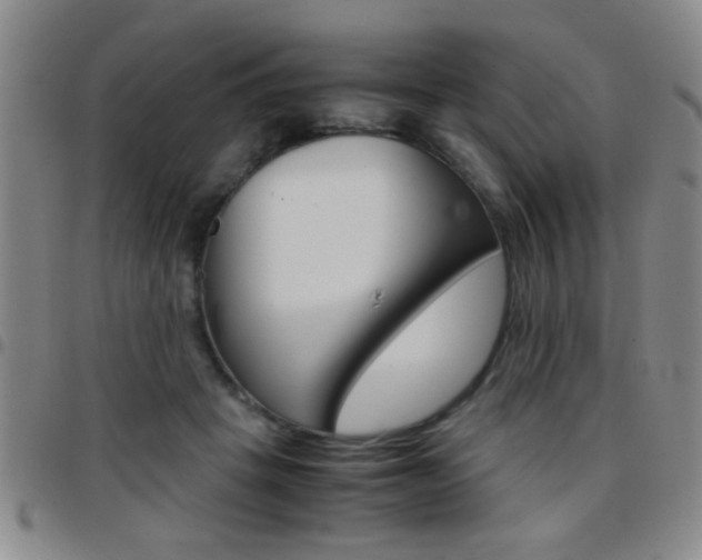 X0000097820457200803140809