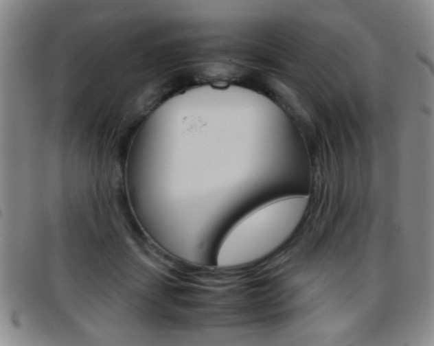 X0000097820459200803140809